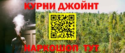 прущие крисы Будённовск