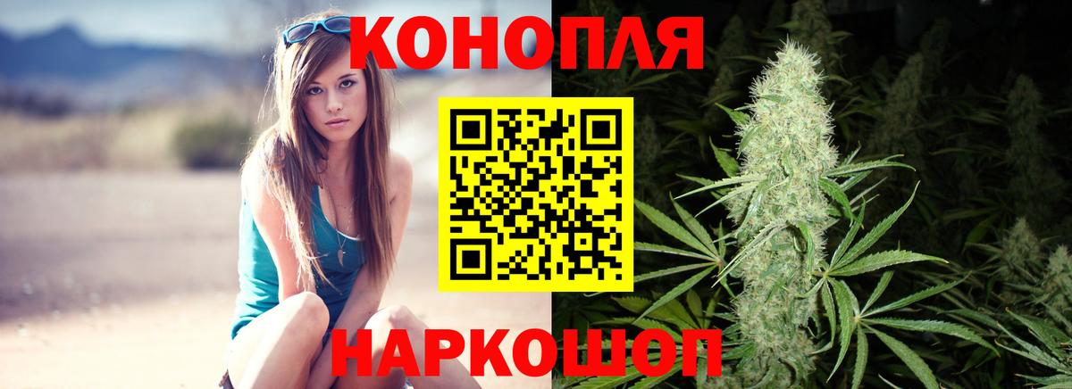 Марихуана сатива Родники
